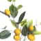 31" Lemon Branch by Ashland®